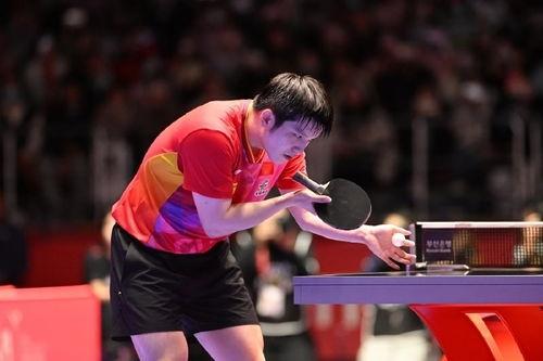 樊振东对手爆料视频完整版,完整版爆料视频深度解析  第1张